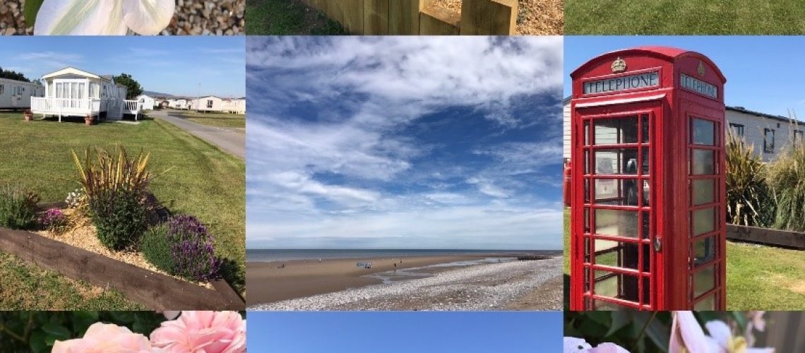 Collage 1