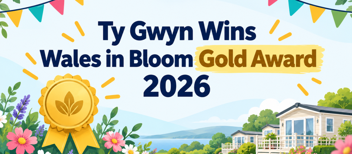 ty-gwyn-win